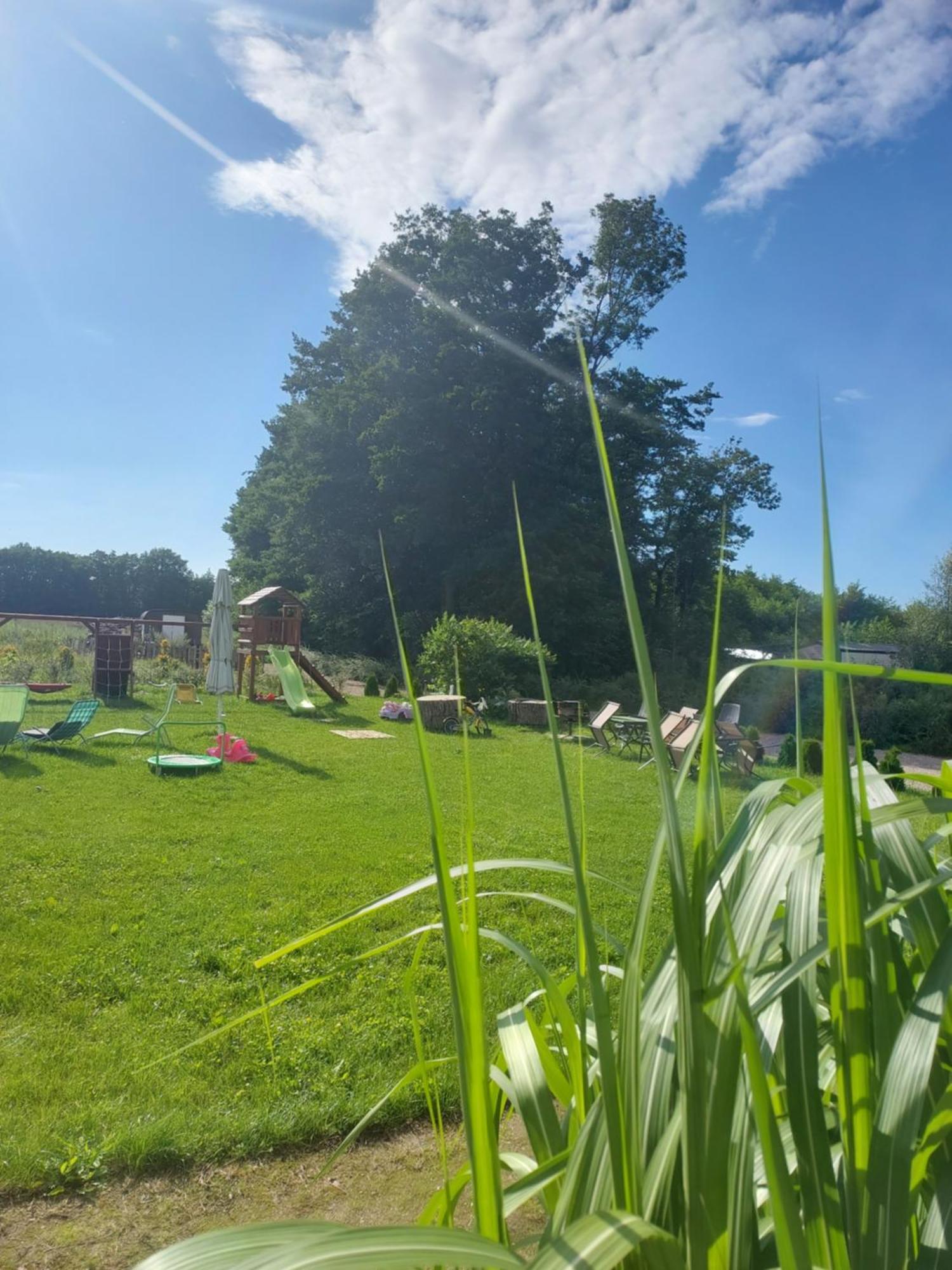 Paprotowka Apartament Wiosenny Paprotno Luaran gambar